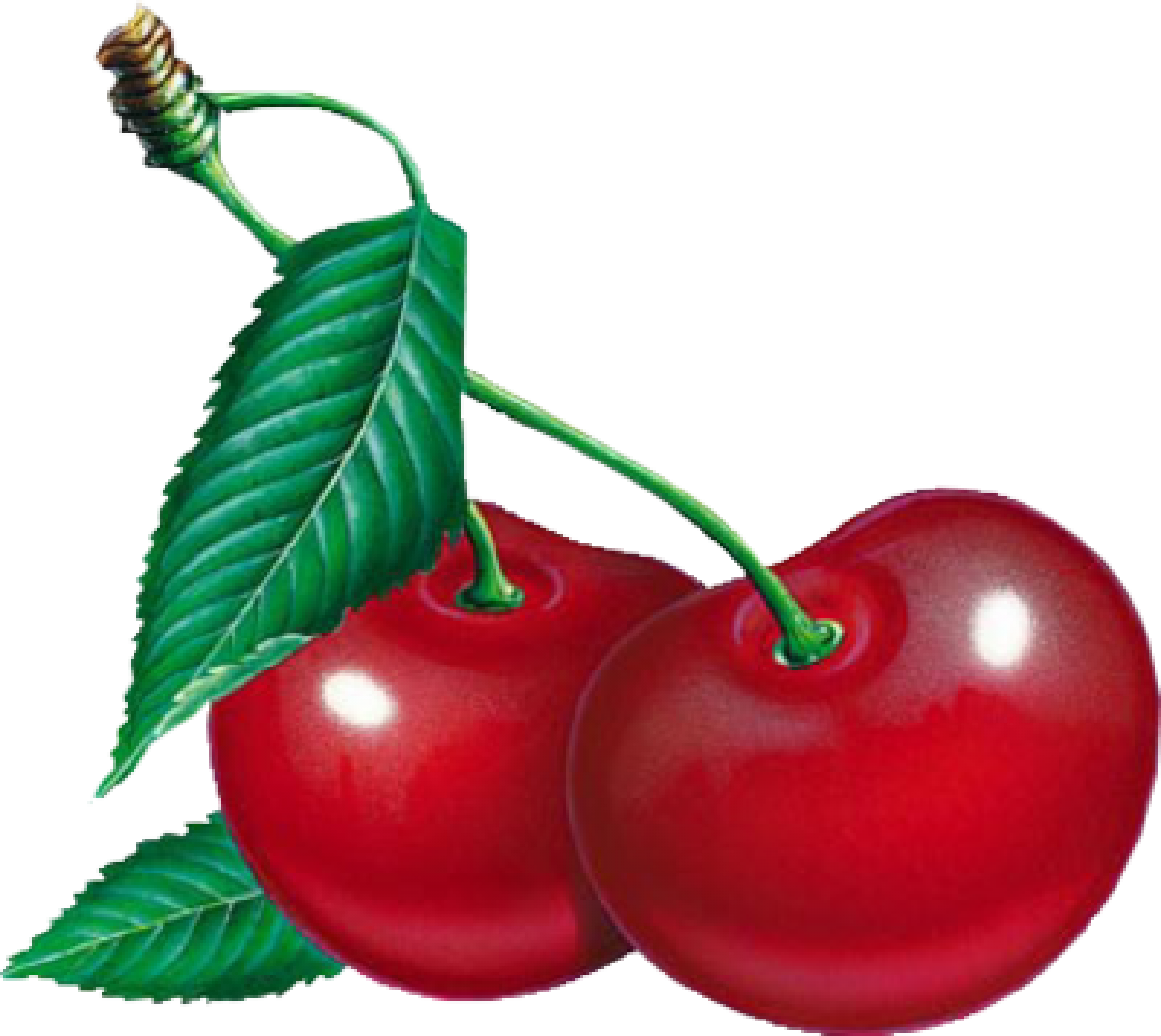 d_30700_cherry-thirty-five.png?148593584