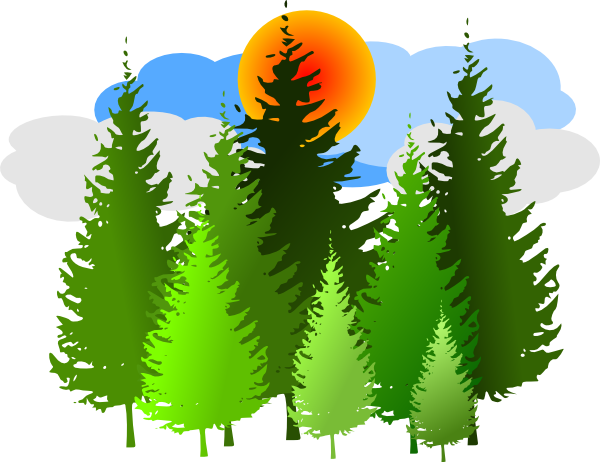 Forest-Clipart-6.png?1485938804